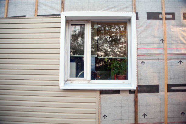 Affordable Siding Repair and Maintenance Services in Leadington, MO